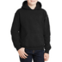 Youth Hoodie