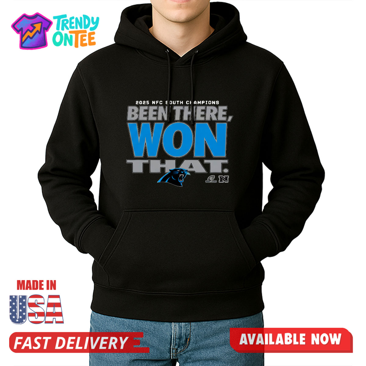 Carolina Panthers NFC South Division Champions Shirt Carolina Panthers NFC South Division Champions Shirt