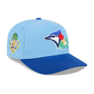 Toronto Blue Jays Spring Training Hat