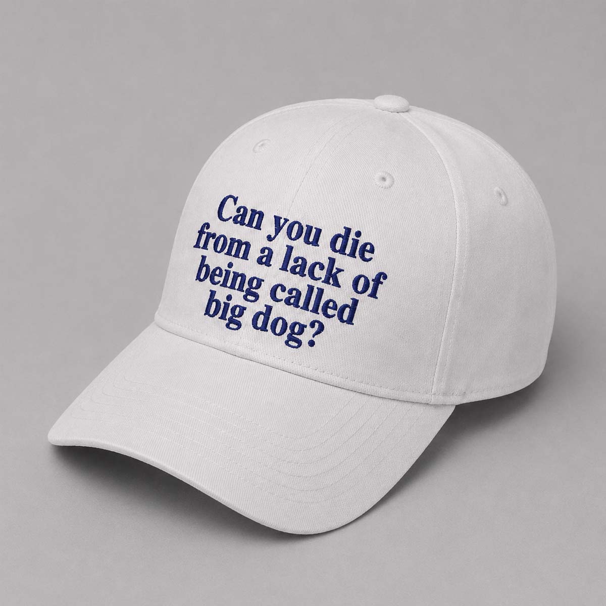 Can You Die From A Lack Of Being Called Big Dog Hat Can You Die From A Lack Of Being Called Big Dog Hat
