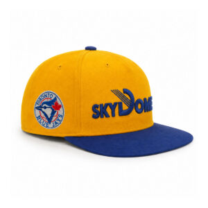 Toronto Blue Jays SkyDome Snapback Hat