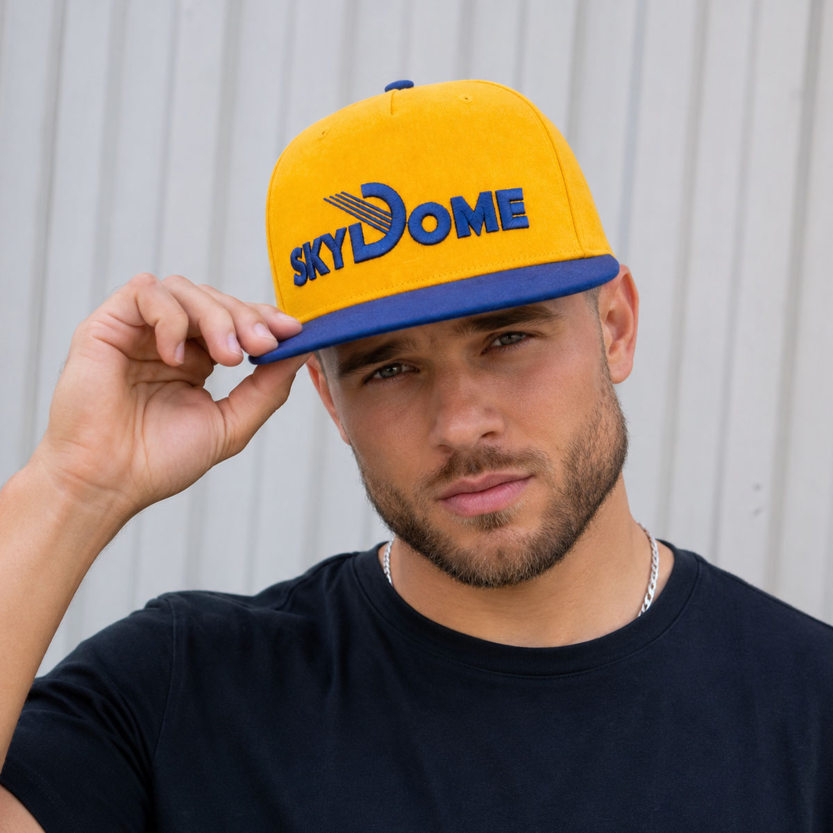 Toronto Blue Jays SkyDome Snapback Hat Toronto Blue Jays SkyDome Snapback Hat